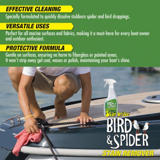 STAR BRITE SPIDER & BIRD STAIN REMOVER 22 OZ. - 095122P