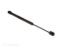 RV DESIGNER 17' GAS PROP 60LBS - G19