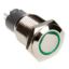 RACESPORT LT 16MM LED 2-POSITION ON/OFF SWITCH ( - 2P16MMLEDG