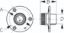SEA DOG SS WASHDOWN WATER OUTLET - 5131201