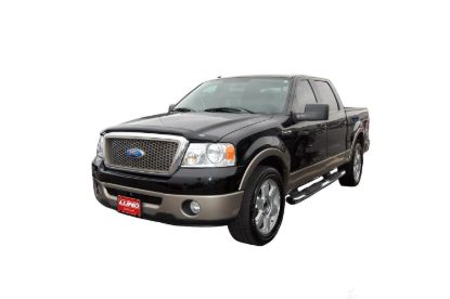 VENTSHADE CO BUG 1 F-150 SMK 04 - 23815