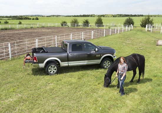 TRUXEDO DODGE RAM 1500 8' 09 - 248901