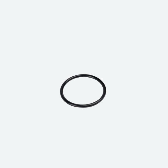 VP FUEL LARGE CAP O-RING REPLACEMENT BAGGED - 3043B