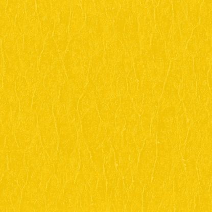 SHURTAPE CP 225 GLD-36MM X 55M-32 RLS - 105375
