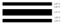 TRIMBRITE MULTISTRIPE TAPE 3/4' BLK - T0501