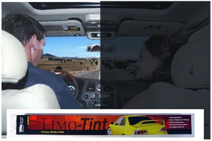 TRIMBRITE DARKER LIMO TINT 20'X10' - T1760