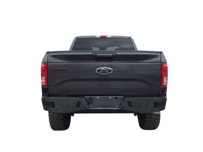 TRAILFX RLDB 06-14 FORD F150 - RLDB002TI