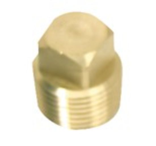 WHITECAP IND 1/2' BRASS PLUG ONLY - S5052C
