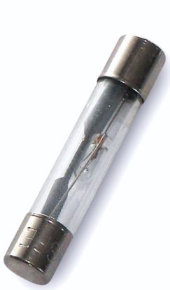 WIRTHCO AGC GLASS FUSE-20 AMP - 24620