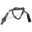 WALKER PROD. OXYGEN SENSOR - 35034210