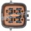 WALKER PROD. OXYGEN SENSOR - 35064020