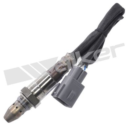 WALKER PROD. OXYGEN SENSOR - 35064073