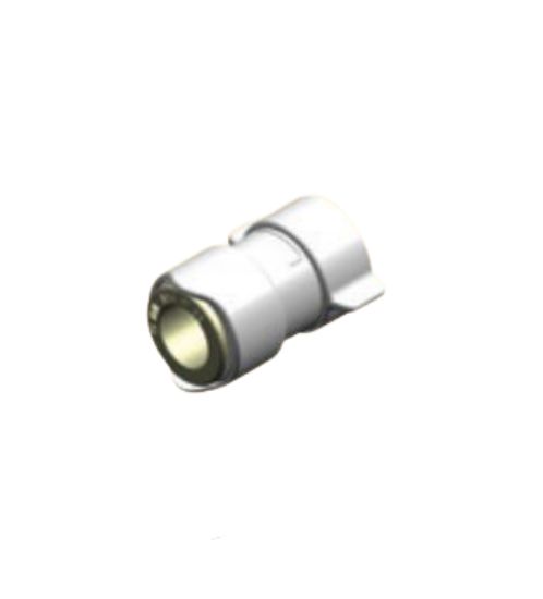WHALE ADAPTER 1/2'BSP 15MM - WX1532B