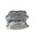 WAGNER BRAKE CERAMIC DISC PAD SET - OEX1423