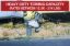 WEIGH SAFE 6INDROP T/OBALL 2IN SHANK - LTB62