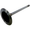 Picture of Crown Automotive Jeep Replacement Engine Intake Valve - 4781025AA