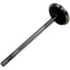 Picture of Crown Automotive Jeep Replacement Engine Intake Valve - 4884691AA