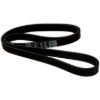 Picture of Crown Automotive Jeep Replacement Accessory Drive Belt - 5281374AA