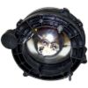 Picture of Crown Automotive Jeep Replacement Headlight Assembly - 55055033AE