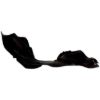 Picture of Crown Automotive Jeep Replacement Fender Liner - 55079096AA