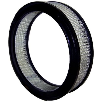 Picture of Crown Automotive Jeep Replacement Engine Air Filter - J8991386
