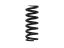 Picture of ICON Vehicle Dynamics Coil Spring - 158508