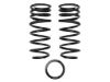 Picture of ICON Vehicle Dynamics Coil Spring Set - 52750