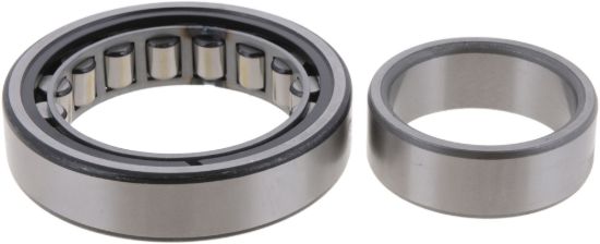 Picture of Spicer Differential Bearing - 046584