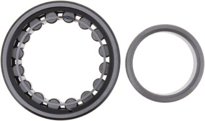 Picture of Spicer Differential Bearing - 046584