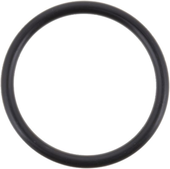 Picture of Spicer Multi-Purpose O-Ring - 078931