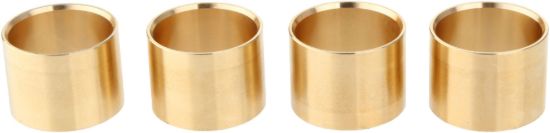 Picture of Spicer Differential Mount Bushing - 095215
