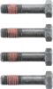Picture of Spicer Differential Bolt - 096285