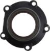 Picture of Spicer Differential Pinion Shaft Bearing Retainer - 098382