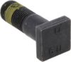 Picture of Spicer Differential Ring Gear Bolt - 10010020