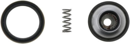 Picture of Spicer Double Cardan CV Ball Seat Repair Kit - 10018440