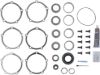 Picture of Spicer Differential Rebuild Kit - 10024030