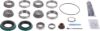 Picture of Spicer Differential Rebuild Kit - 10024031