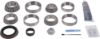 Picture of Spicer Differential Rebuild Kit - 10024039