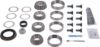 Picture of Spicer Differential Rebuild Kit - 10024040