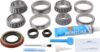 Picture of Spicer Differential Rebuild Kit - 10024041