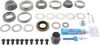 Picture of Spicer Differential Rebuild Kit - 10024058