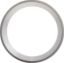 Picture of Spicer Axle Differential Bearing Race - 10035196