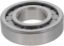 Picture of Spicer Differential Pilot Bearing - 10038915