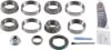 Picture of Spicer Differential Rebuild Kit - 10038939