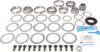 Picture of Spicer Differential Rebuild Kit - 10038950