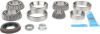 Picture of Spicer Differential Rebuild Kit - 10038954