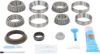 Picture of Spicer Differential Rebuild Kit - 10038956