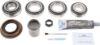 Picture of Spicer Differential Rebuild Kit - 10038960