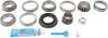 Picture of Spicer Differential Rebuild Kit - 10040451