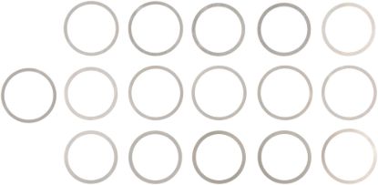 Picture of Spicer Differential Carrier Bearing Shim - 10040466